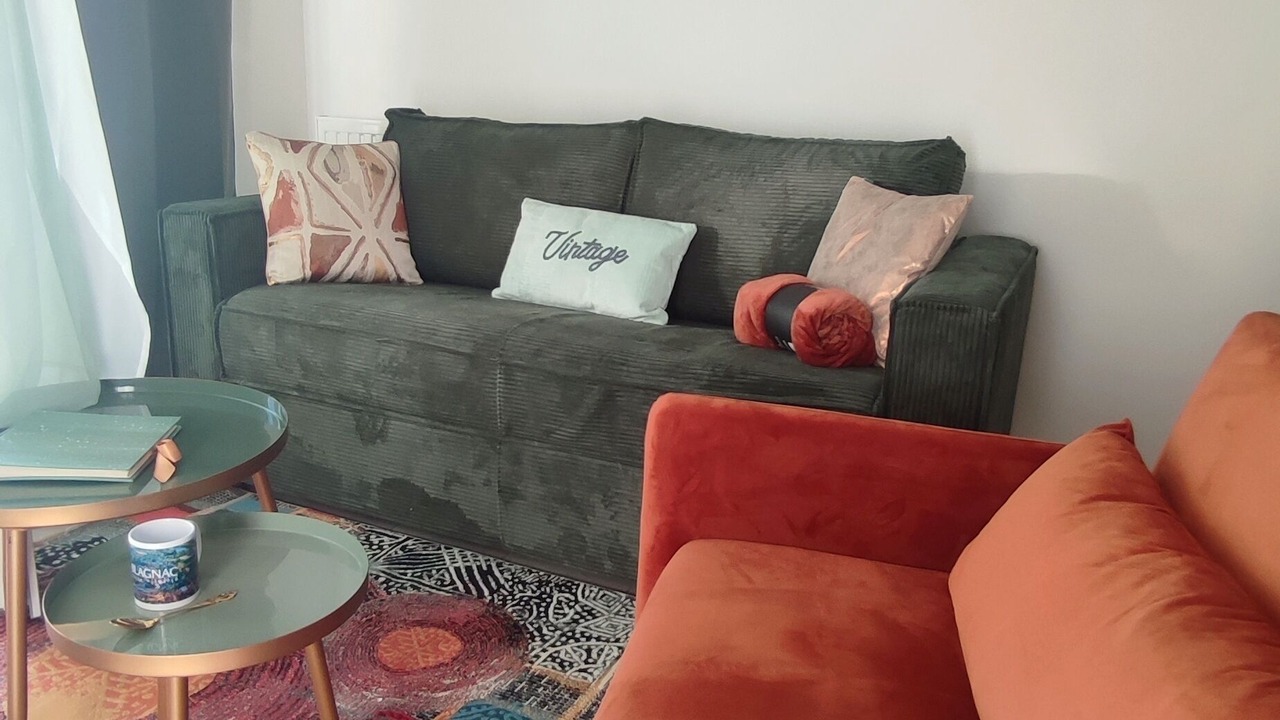 Photo of Livingroom in Blagnac
