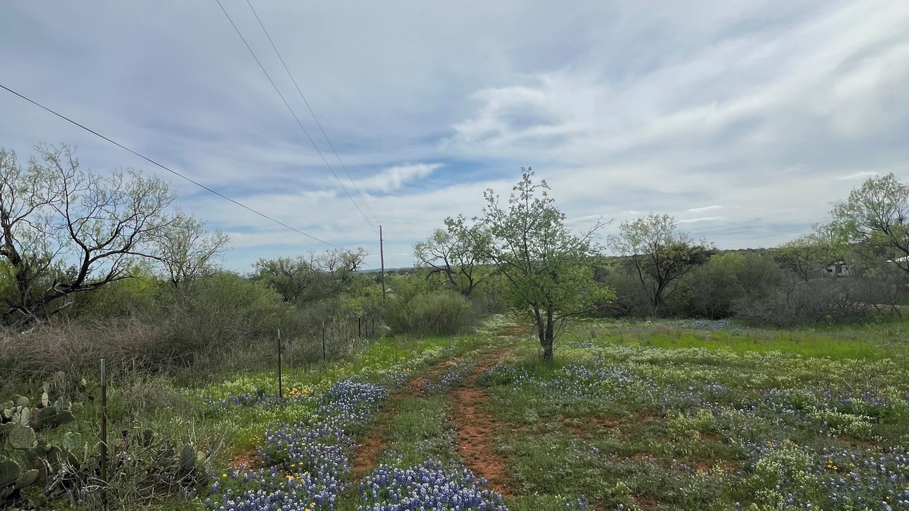 Photo of Bedroom in Llano