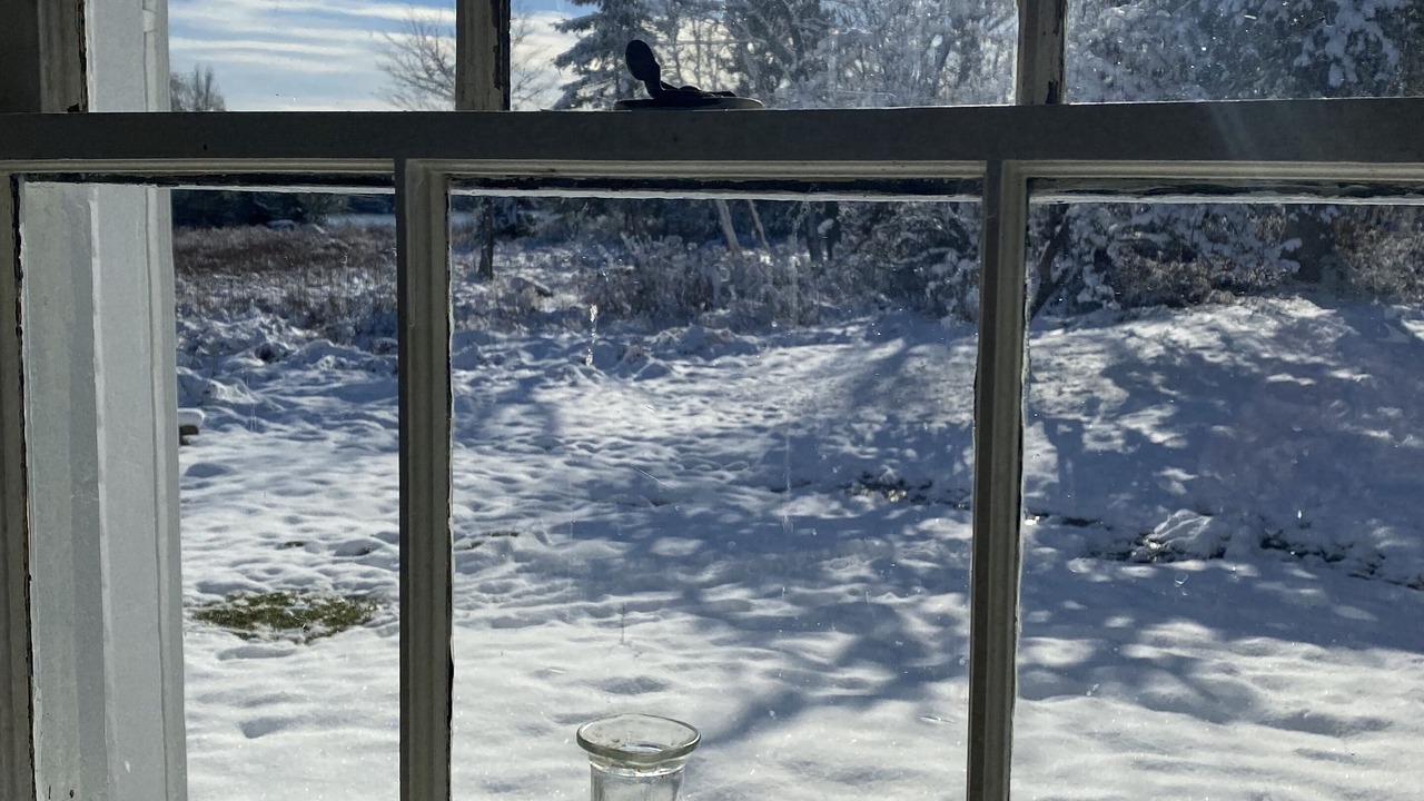 Photo of Others in Brooksville