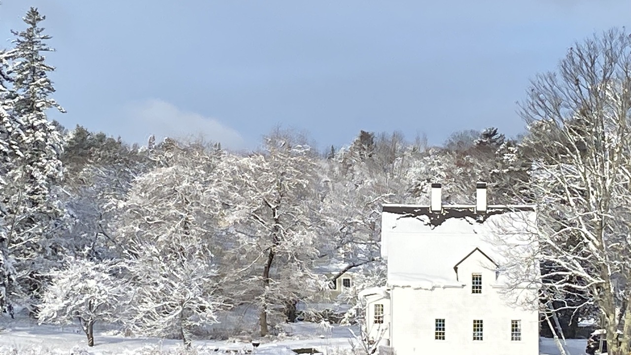 Photo of Outdoor in Brooksville