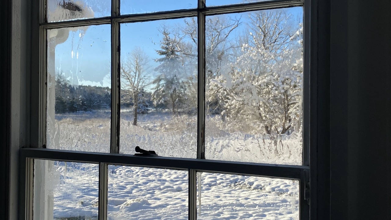 Photo of Others in Brooksville