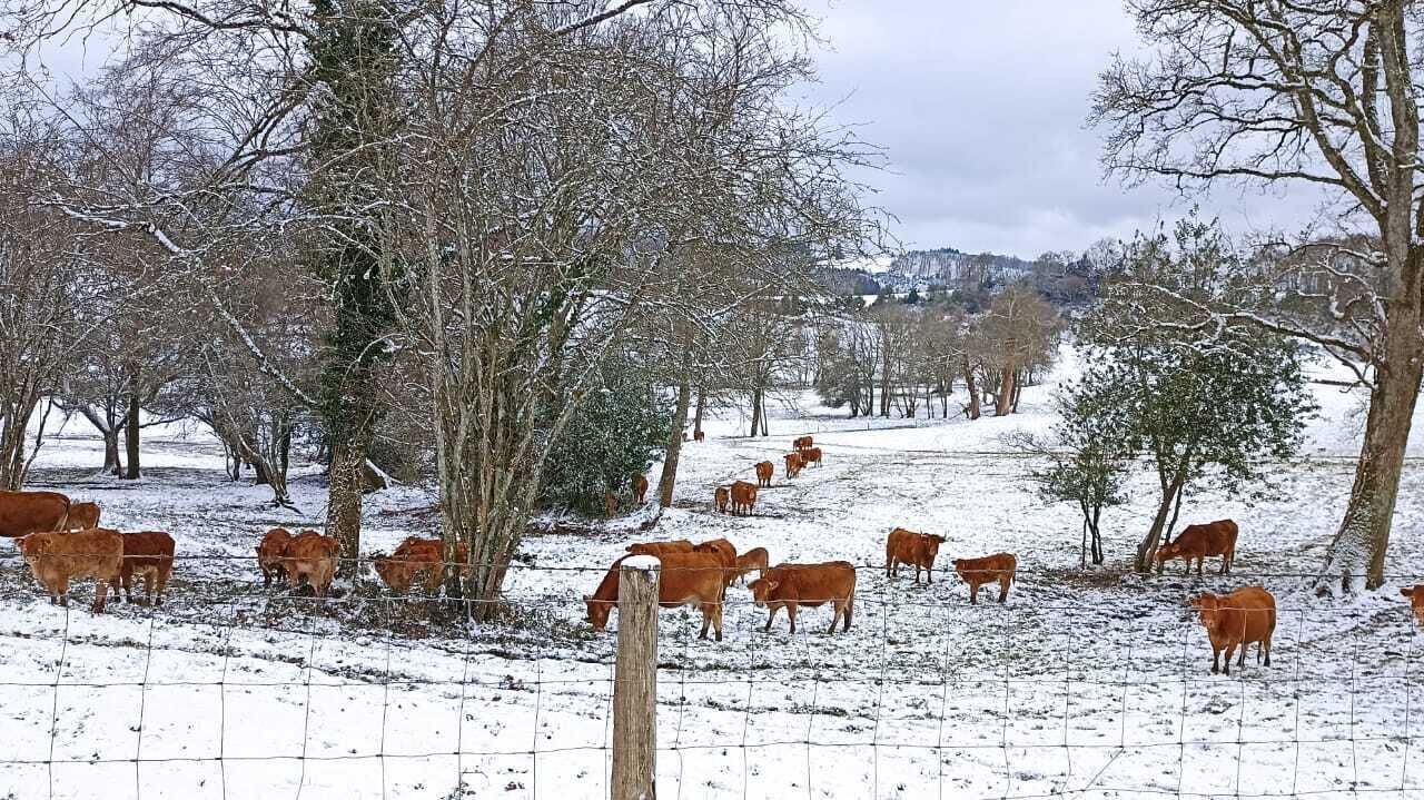 Photo of Outdoor in Saint-Yrieix-la-Montagne