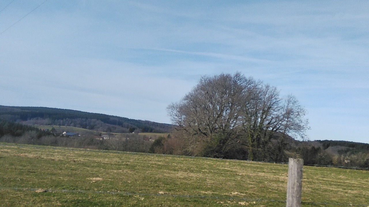 Photo of Others in Saint-Yrieix-la-Montagne