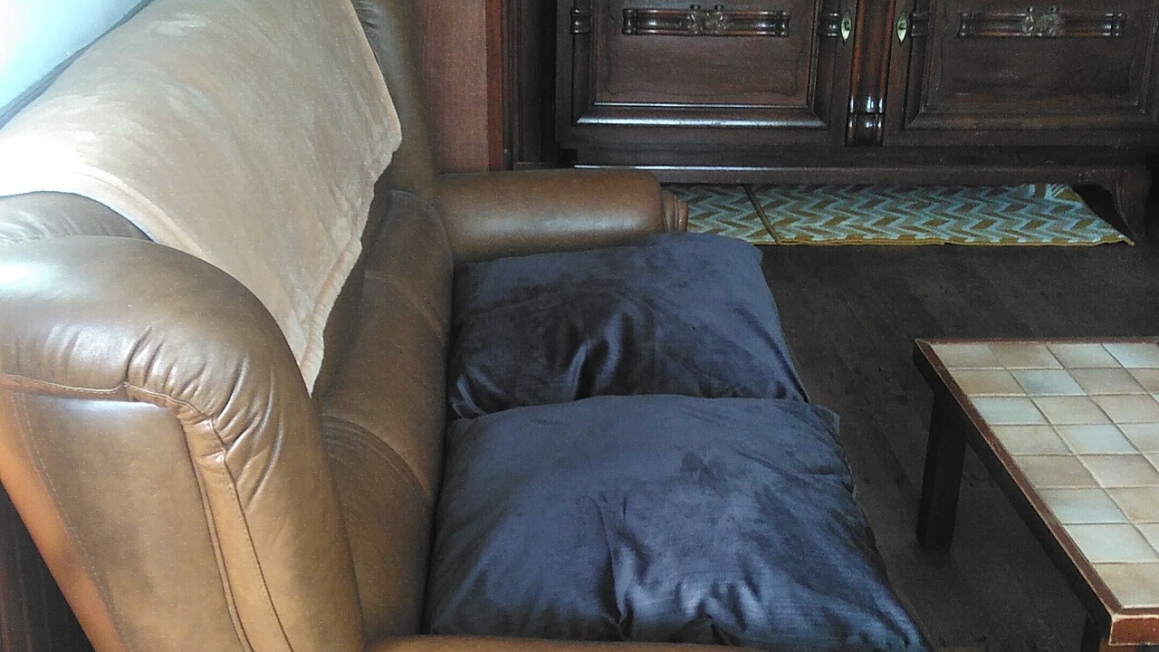 Photo of Livingroom in Saint-Yrieix-la-Montagne