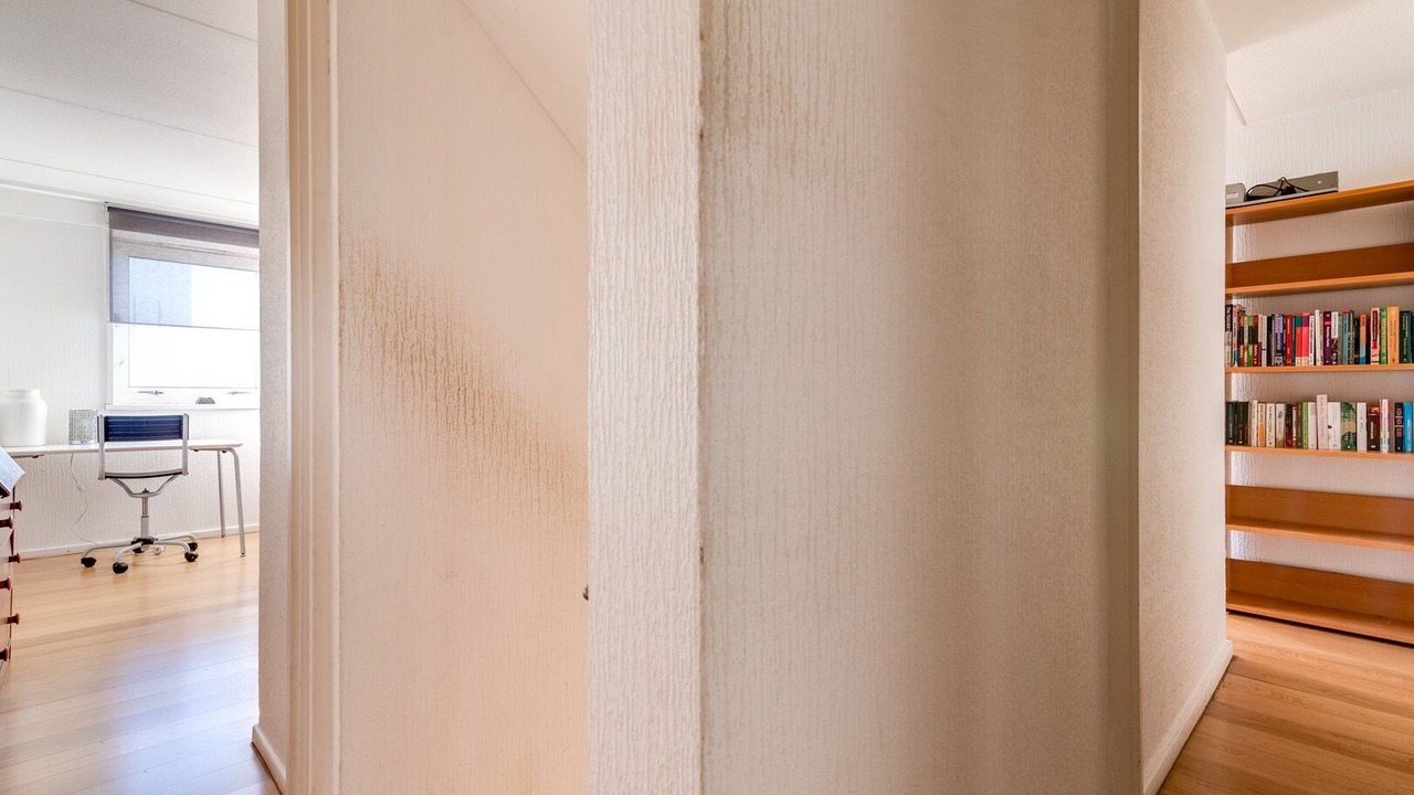 Photo of Others in Queenstown