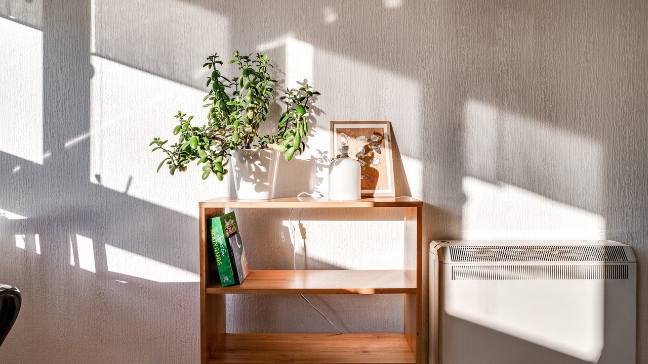 Photo of Others in Queenstown