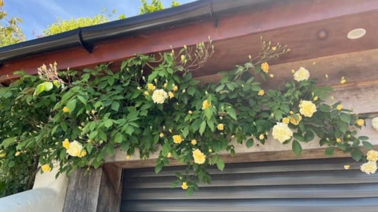 Photo of Outdoor in Cullompton