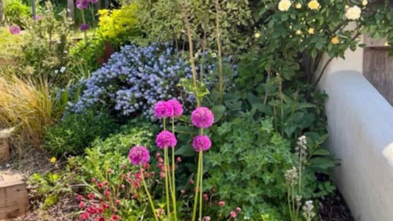 Photo of Outdoor in Cullompton