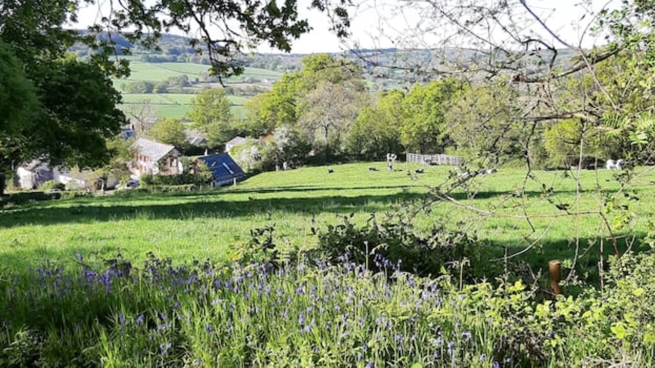 Photo of Others in Cullompton