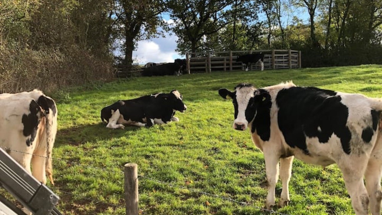 Photo of Others in Cullompton