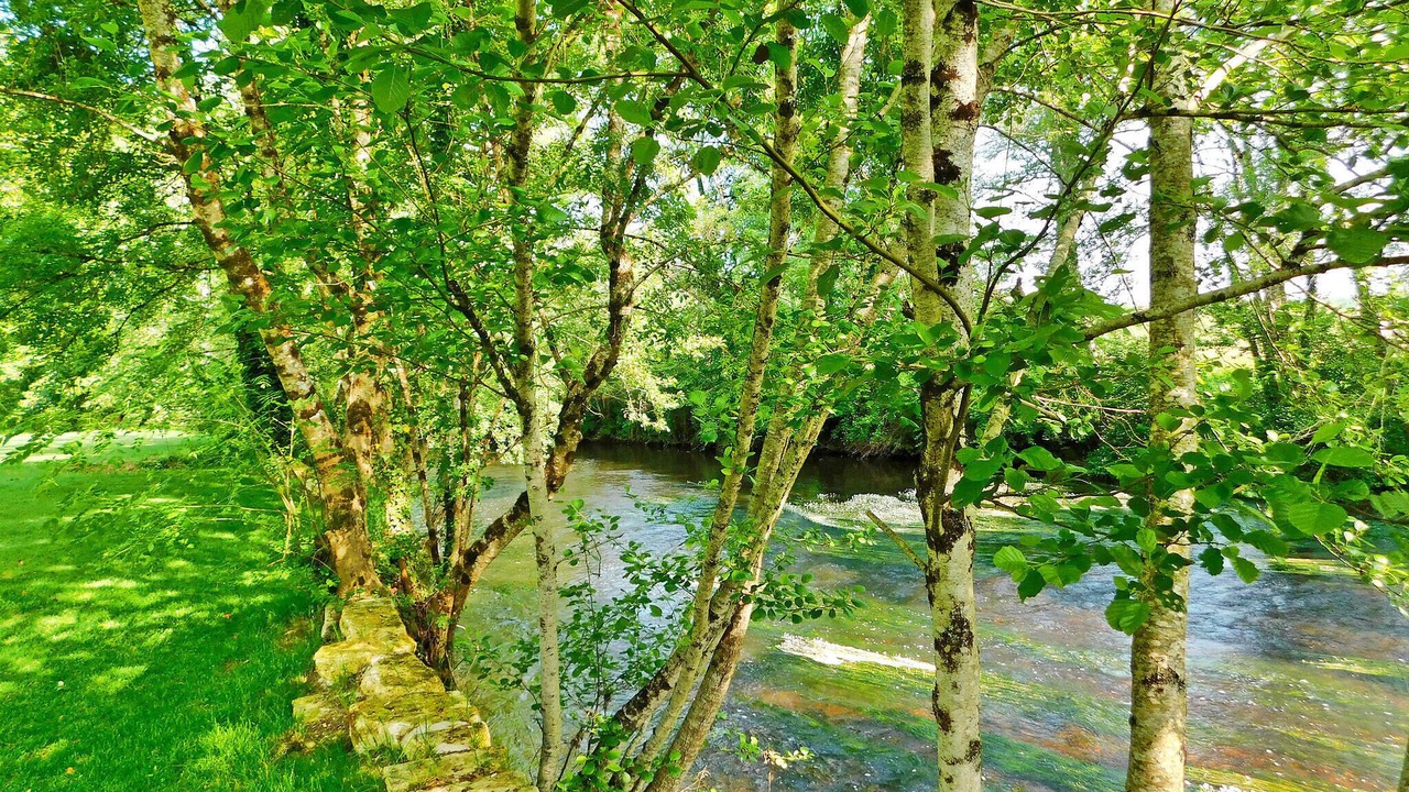 Photo of Others in Brantome-en-Perigord