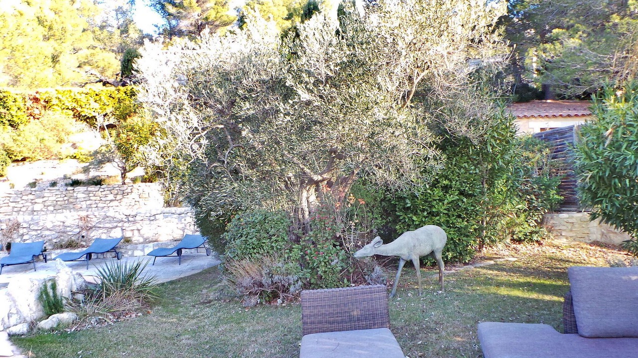 Photo of Others in Les Baux-de-Provence