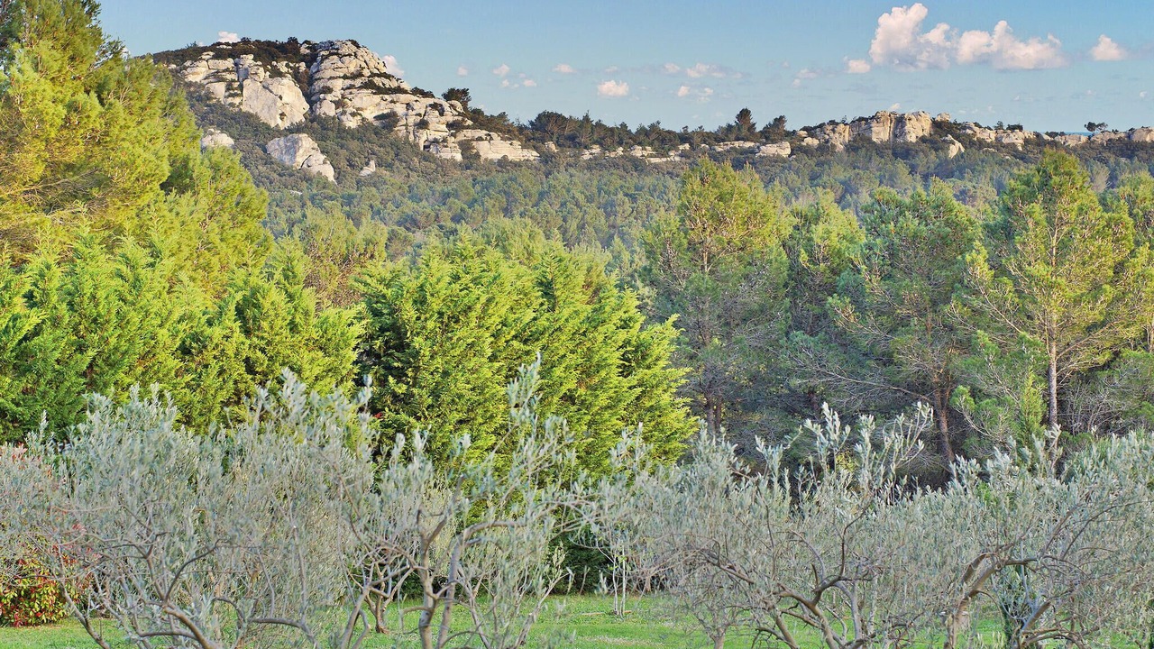 Photo of Others in Les Baux-de-Provence