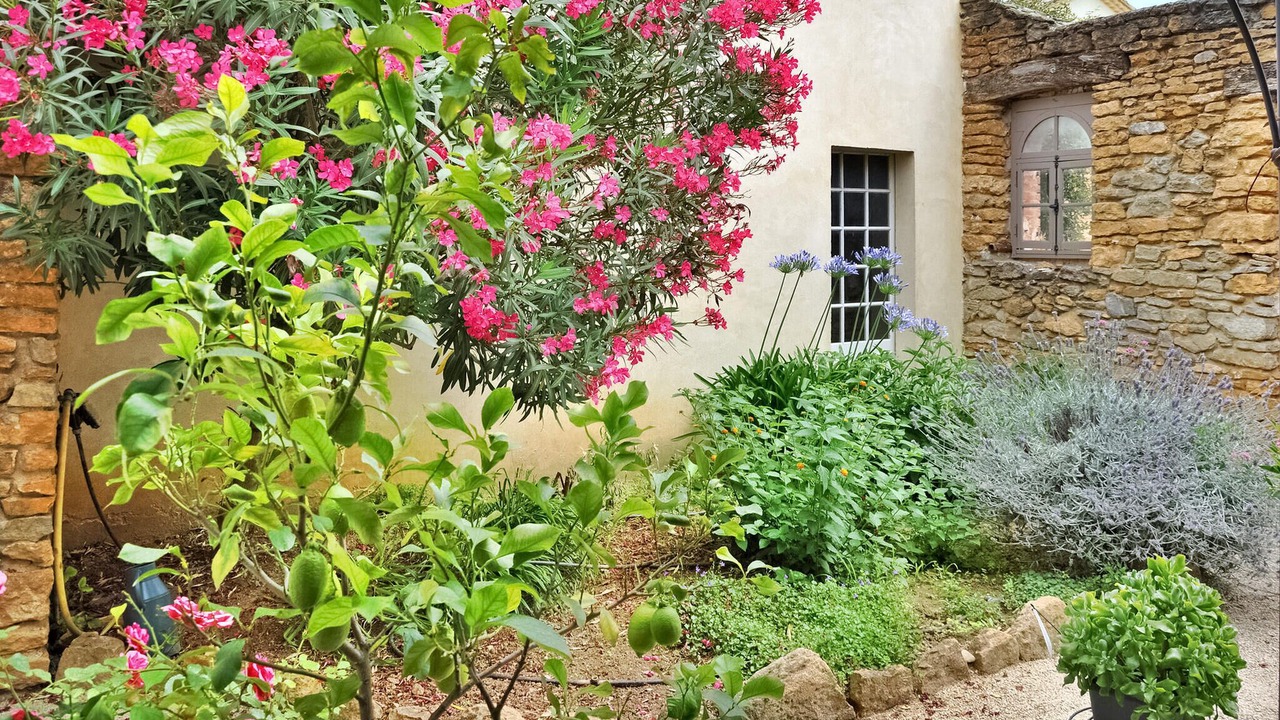 Photo of Others in Cavillargues