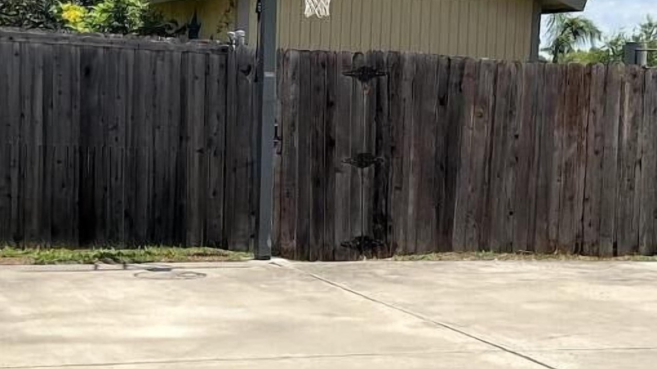 Photo of Others in Alamo