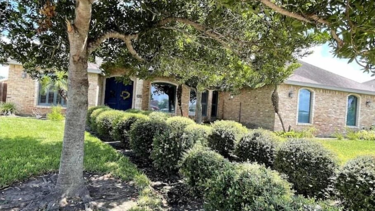 Photo of Outdoor in Alamo