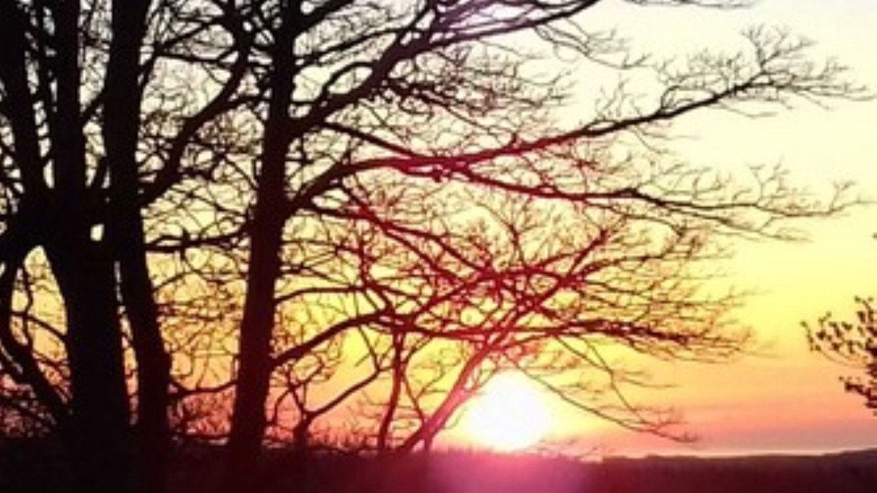 Photo of Others in Bude