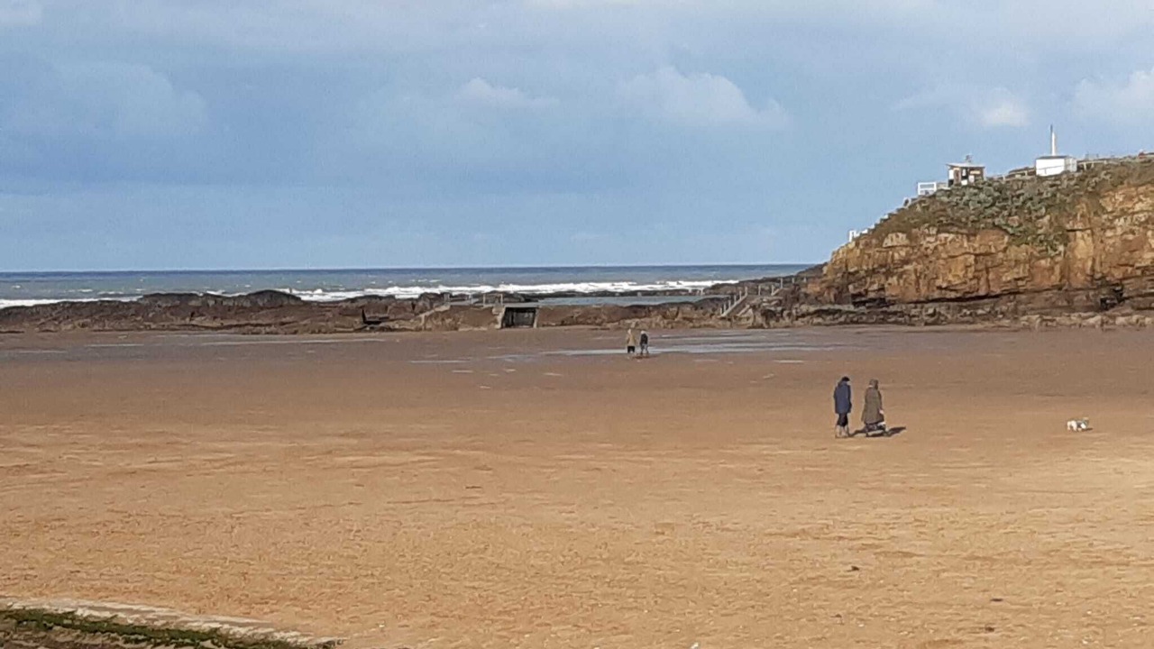 Photo of Others in Bude