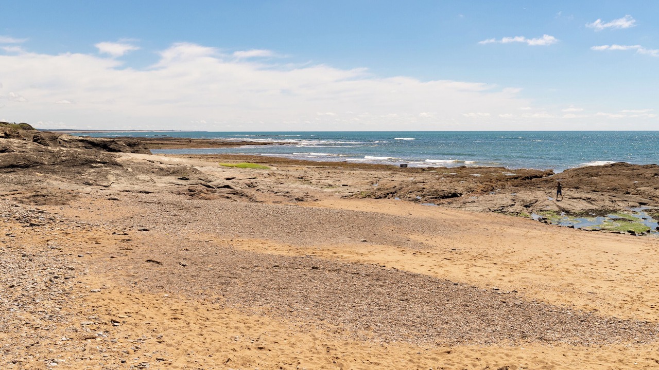 Photo of Others in Bretignolles-sur-Mer