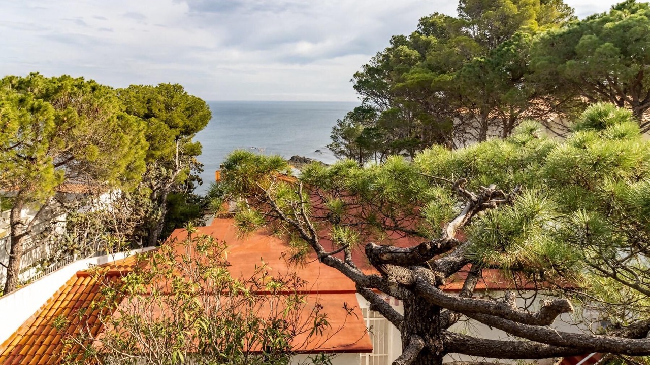 Photo of Outdoor in Llanca