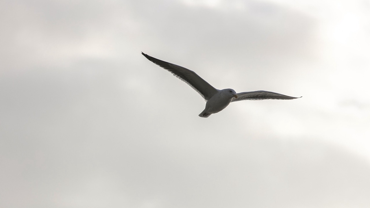 Photo of Bedroom in Gearhart