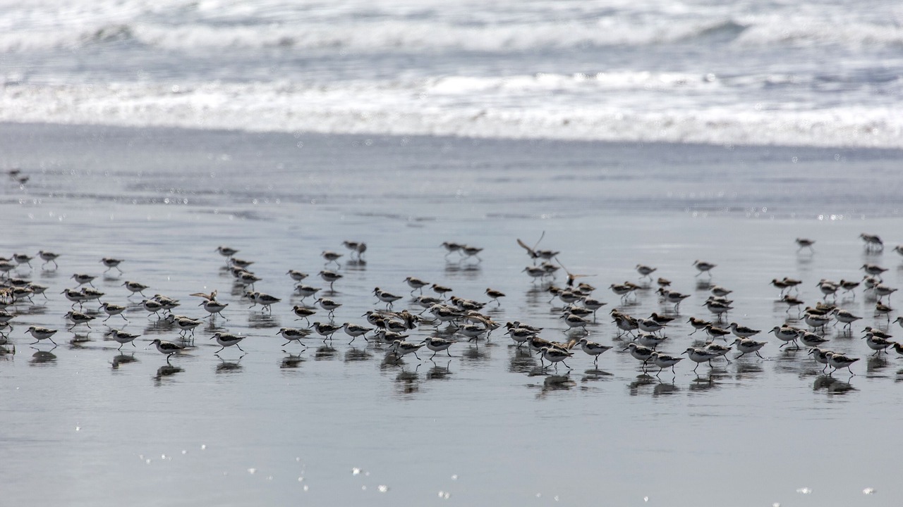Photo of Bedroom in Gearhart