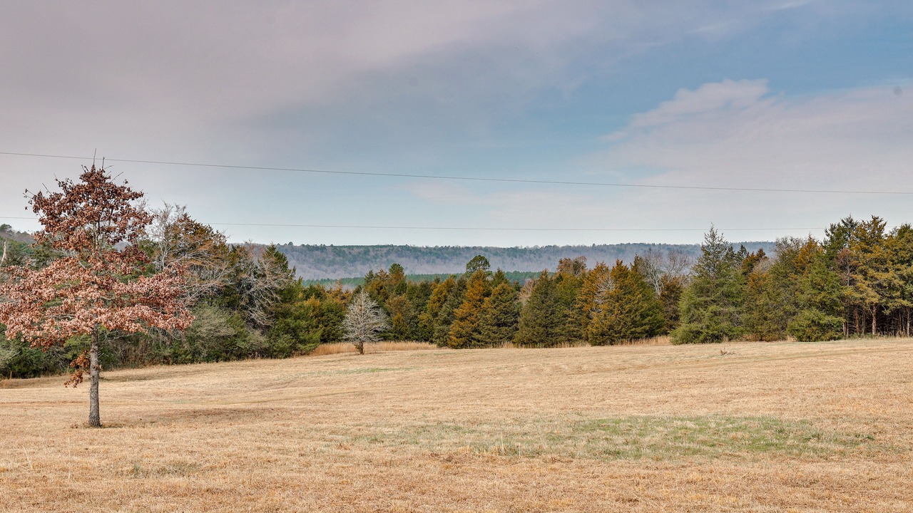 Photo of Others in Russellville
