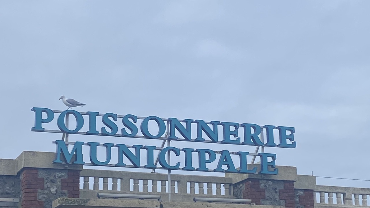 Photo of Others in Woincourt