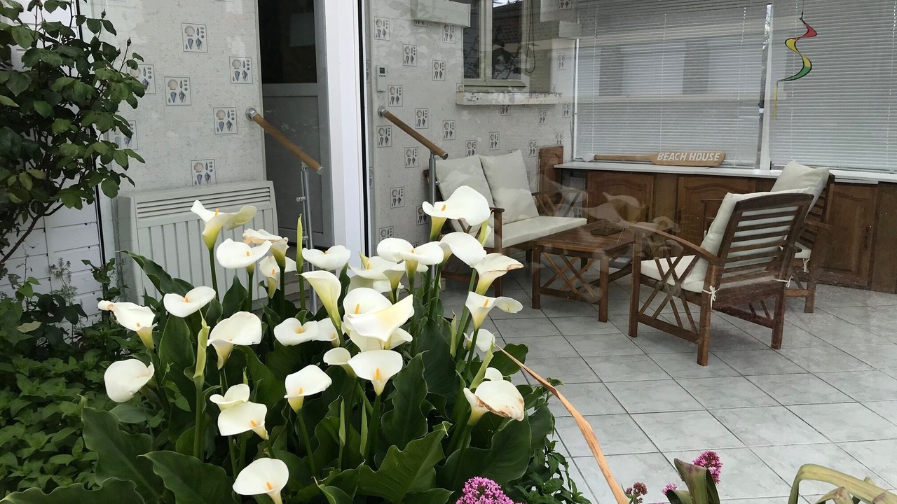 Photo of Outdoor in Woignarue