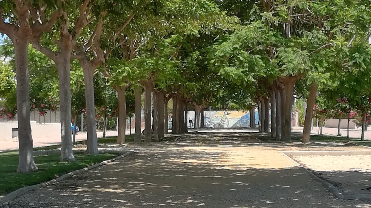 Photo of Others in Platja de Piles
