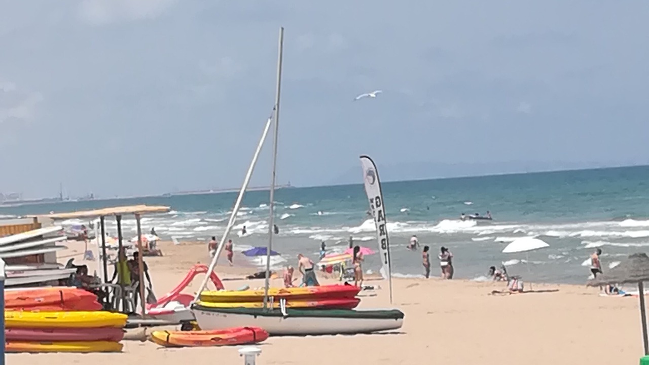 Photo of Others in Platja de Piles
