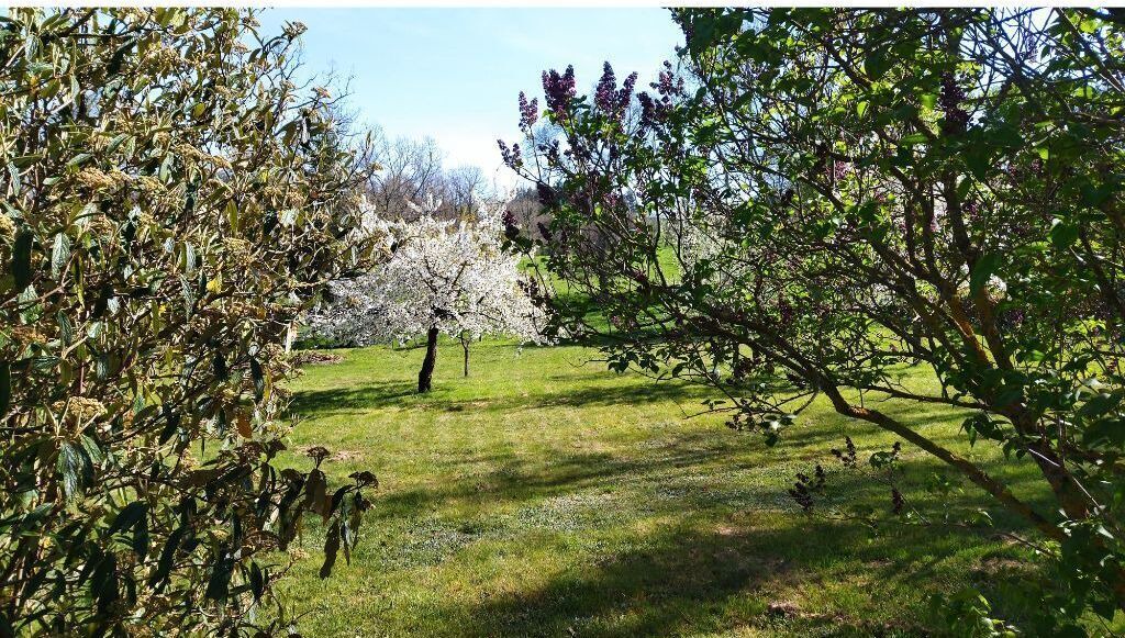 Photo of Outdoor in Loubeyrat