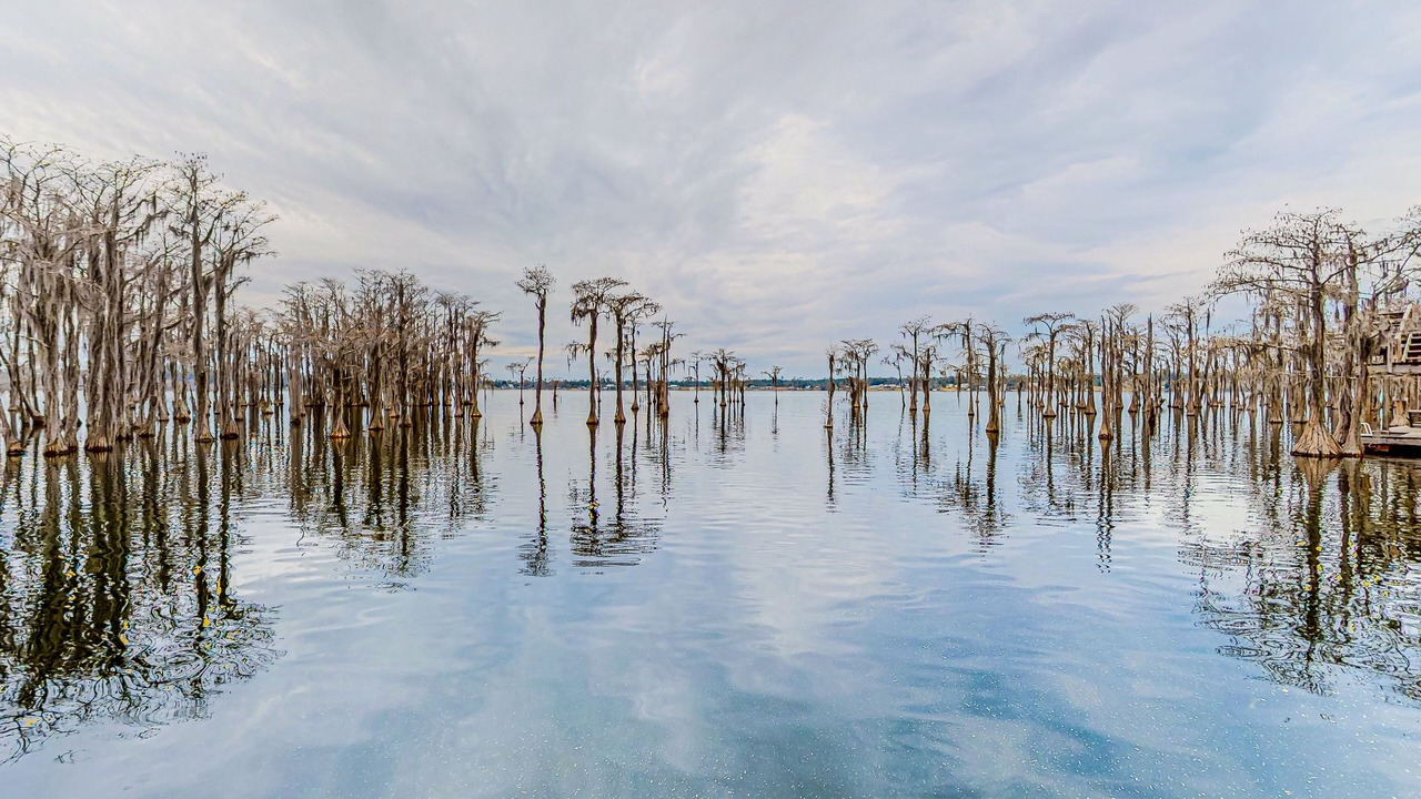 Photo of Others in Marianna