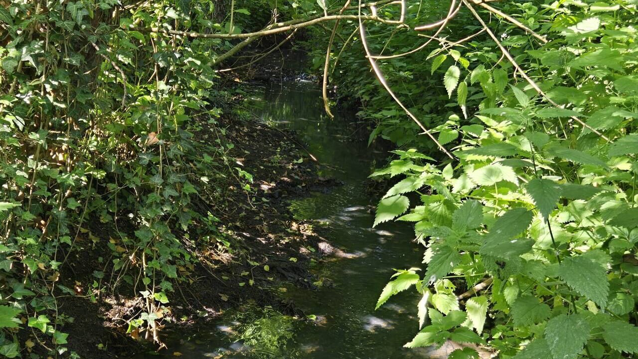 Photo of Others in Cheronvilliers