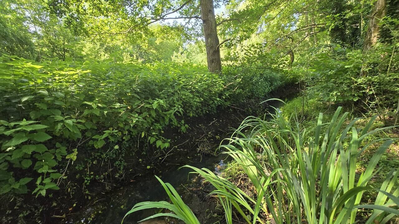 Photo of Others in Cheronvilliers