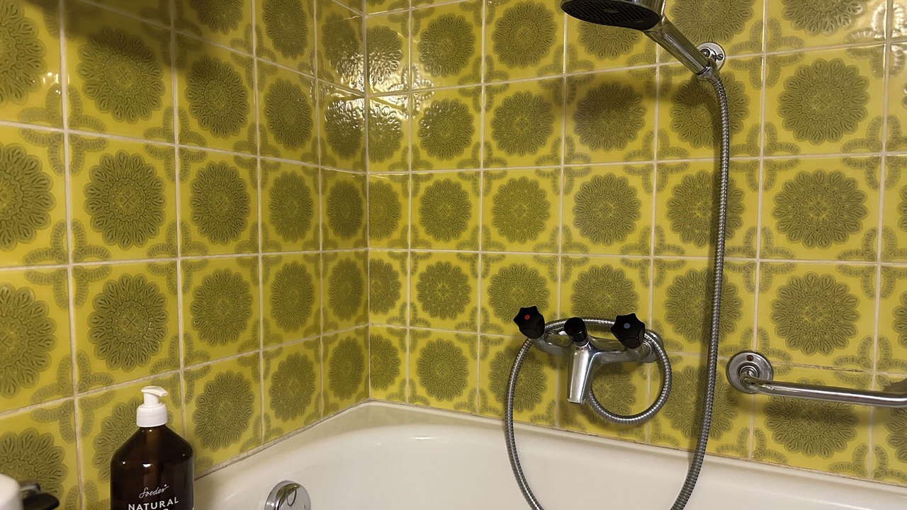 Photo of Bathroom in Mesocco