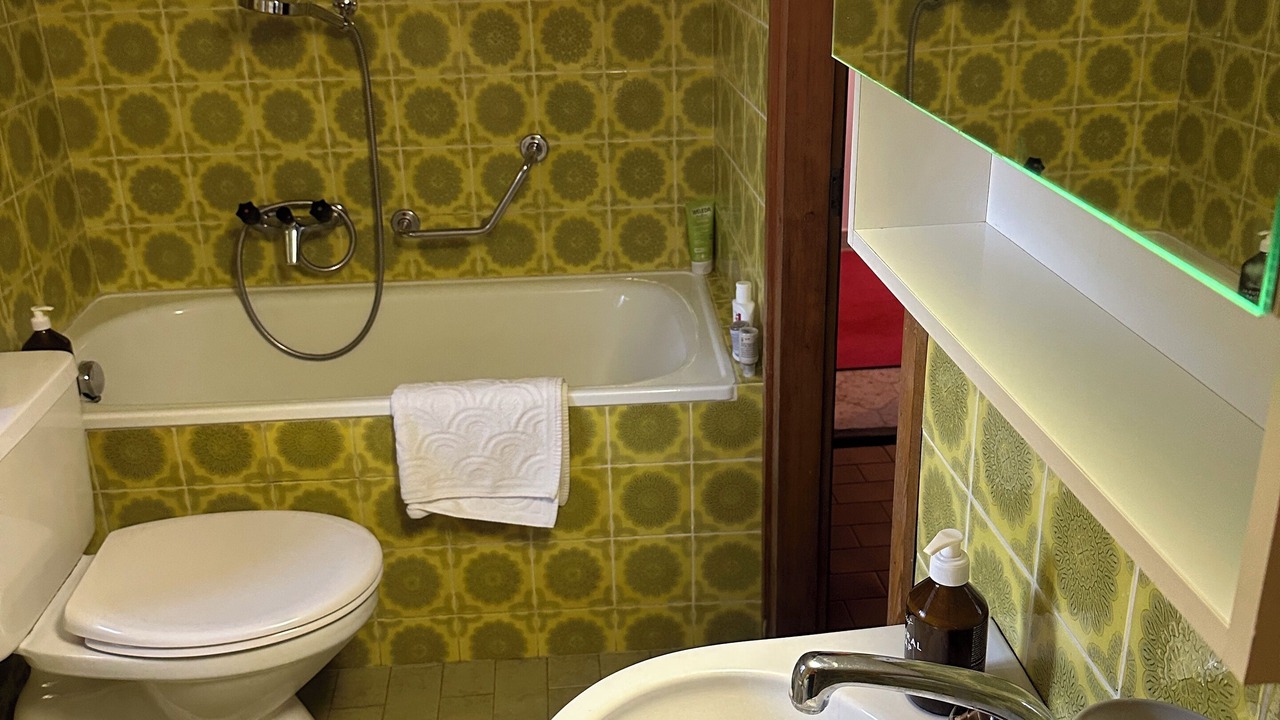 Photo of Bathroom in Mesocco