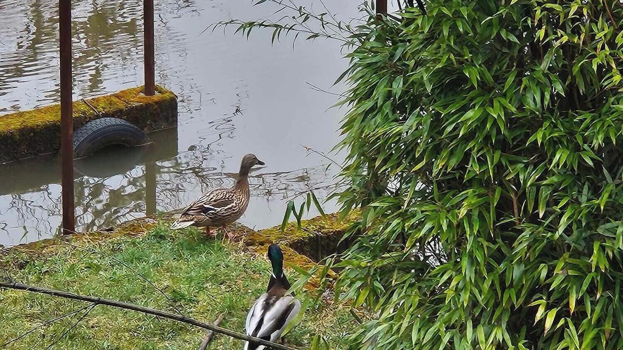 Photo of Others in Le Lonzac