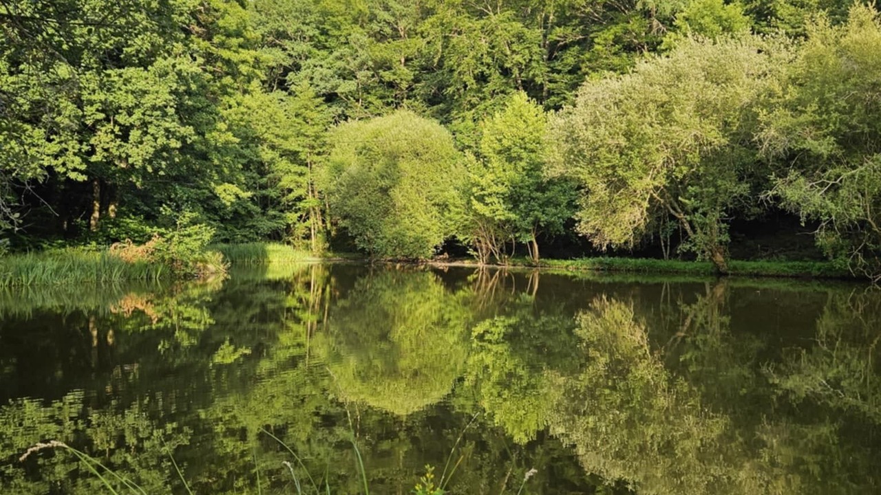 Photo of Others in Le Lonzac