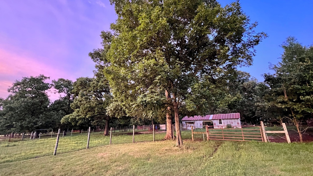 Photo of Outdoor in Lincoln