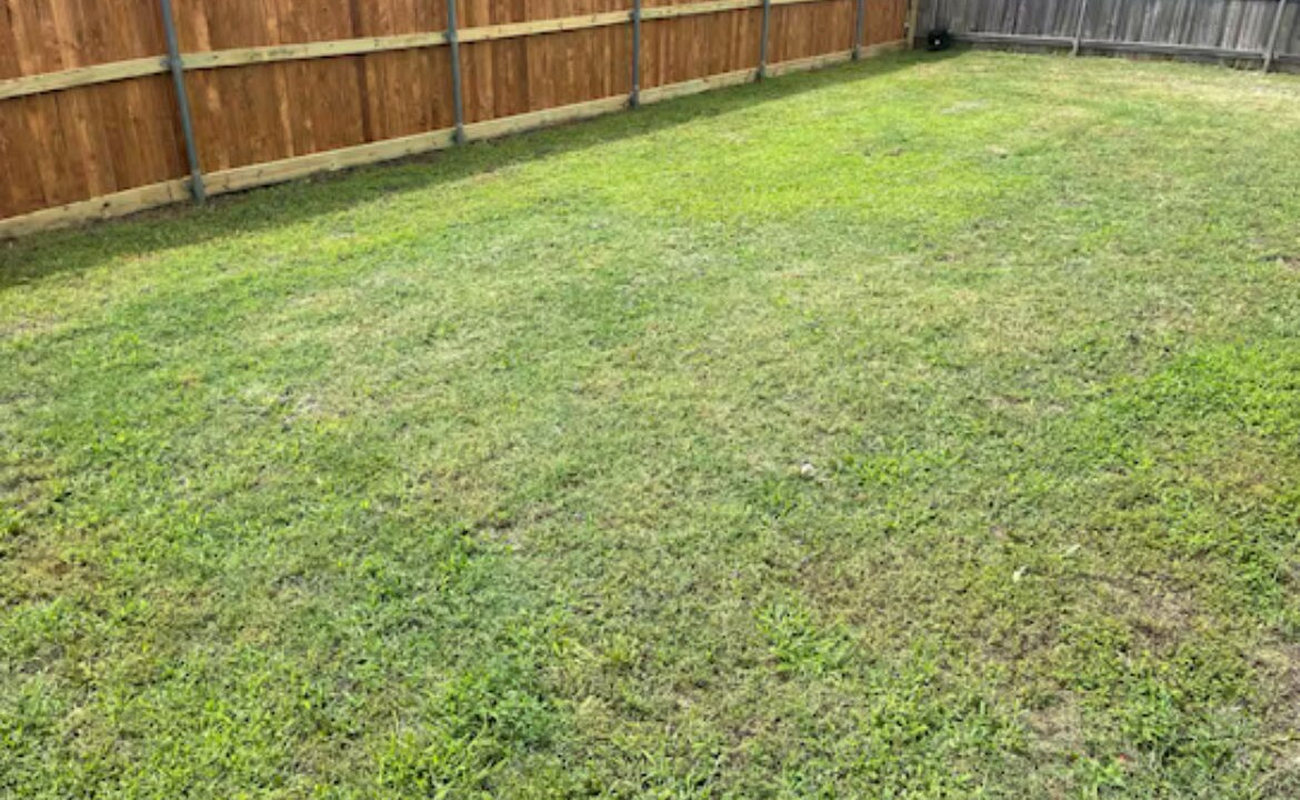 Photo of Outdoor in Midlothian
