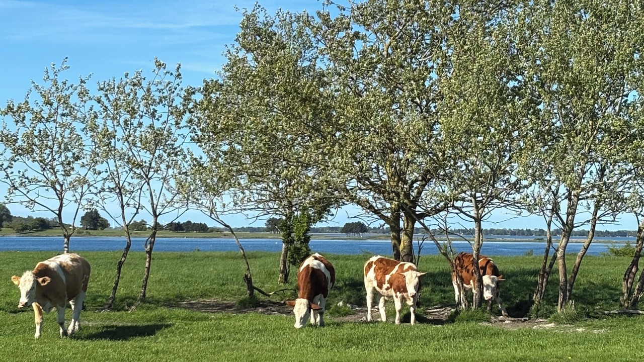 Photo of Others in Holbaek