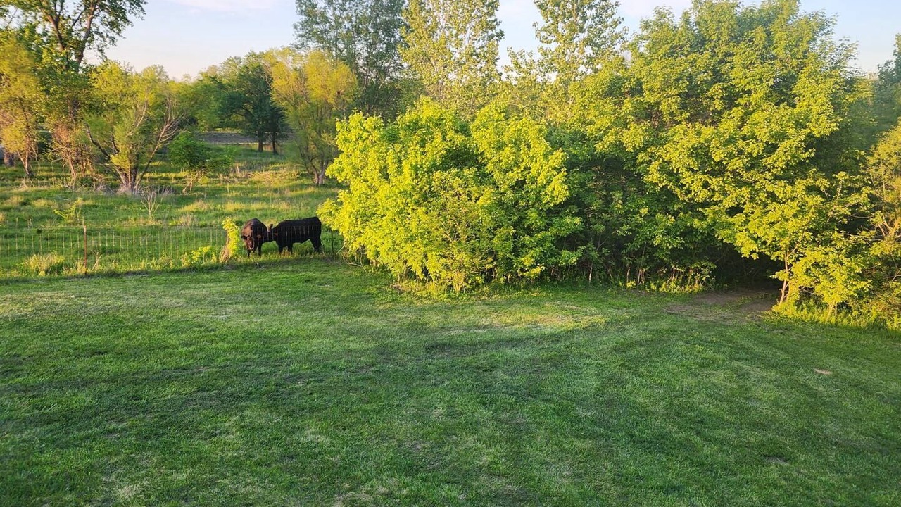 Photo of Others in Johnson County