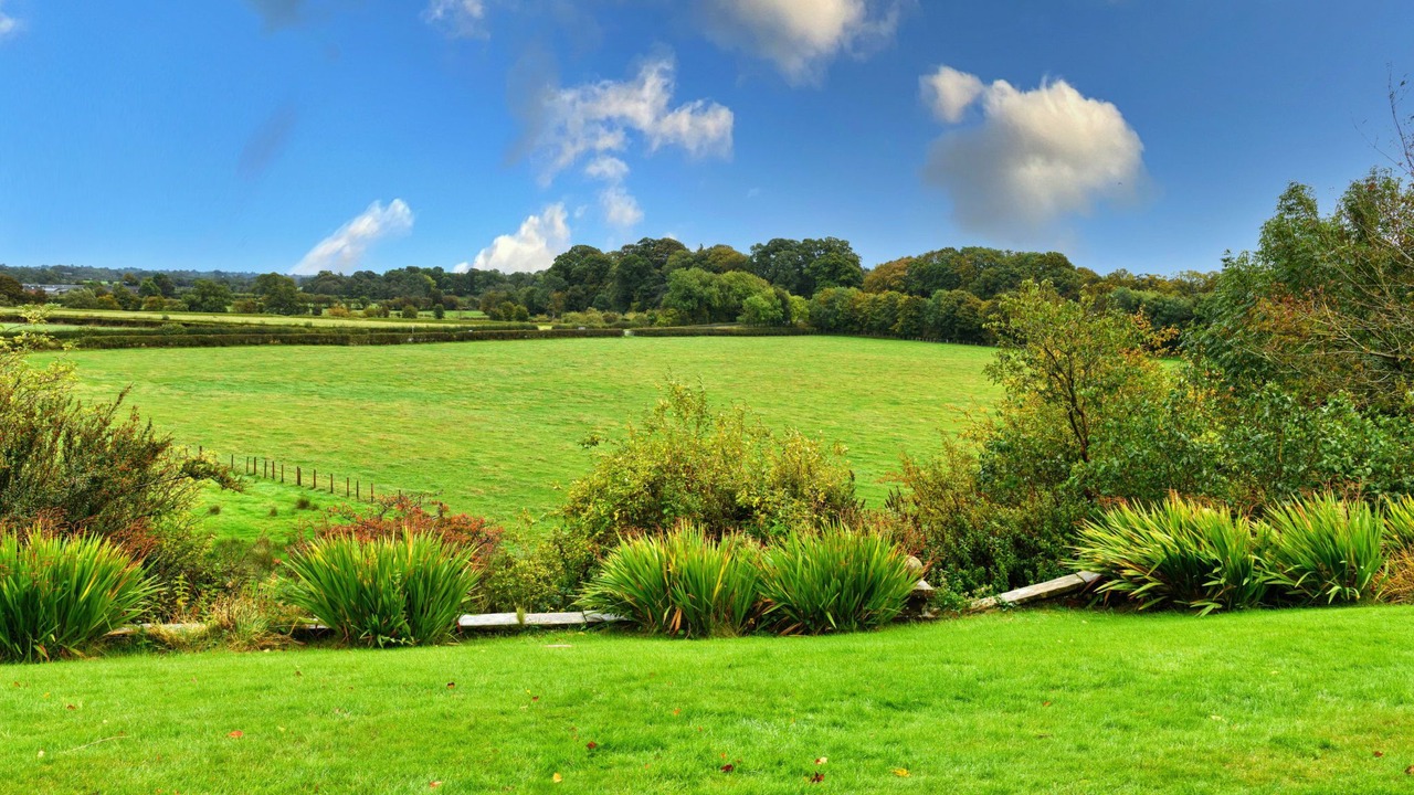 Photo of Others in Carlisle