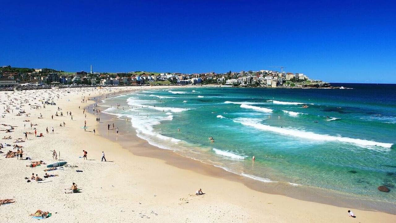 Photo of Others in Darling Point