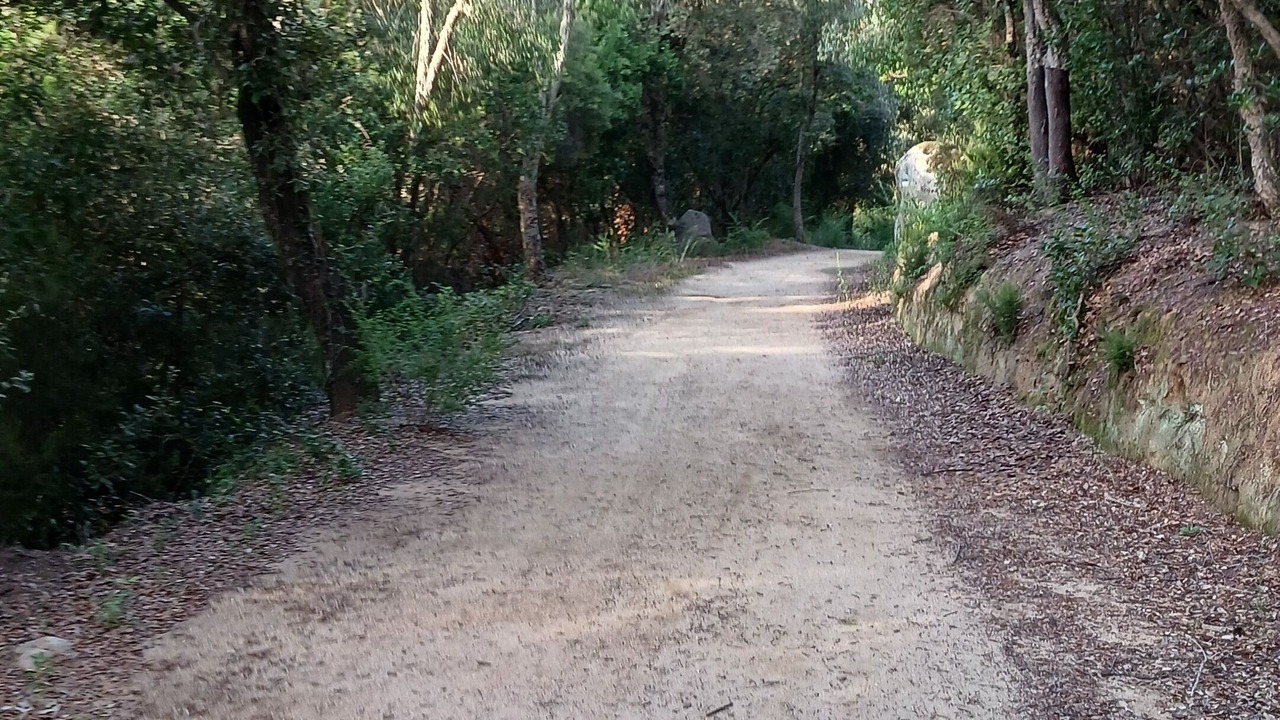 Photo of Others in Tordera