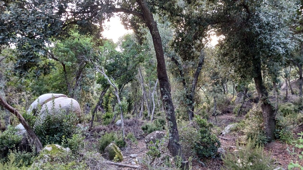 Photo of Others in Tordera