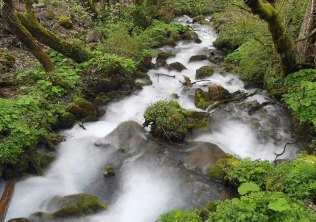Photo of Others in Glarus Sued