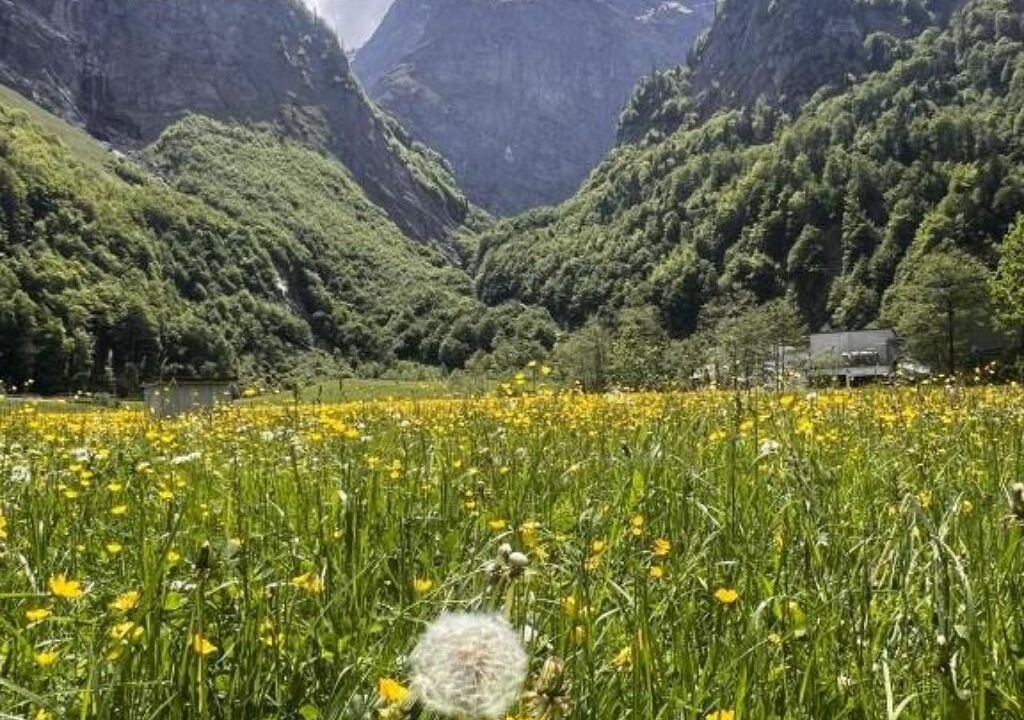 Photo of Others in Glarus Sued