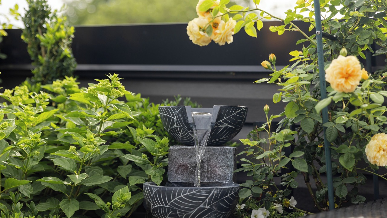 Photo of Outdoor in Fairmount